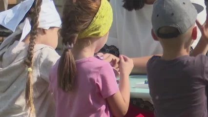 Эксперты из Татарстана: нужно на федеральном уровне установить единый правовой статус многодетной семьи - НТР 24