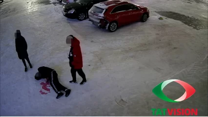 Нижнекамцам раскрыли, откуда у них под окнами появилась «лужа крови» - НТР 24