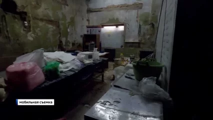 В Казани обнаружили подпольное производство лавашей - НТР 24