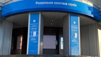 В Нижнекамске ИП погасила 2,5 млн долга по налогам после вмешательства приставов - НТР 24