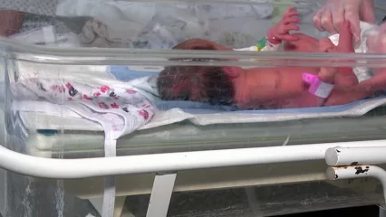 В Нижнекамске за неделю на свет появились 38 детей - НТР 24