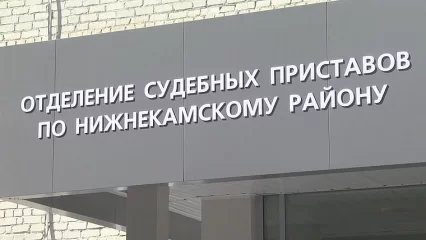 Приставы: нижнекамцы предпочитают стоять в очереди, а не записываться на прием заранее - НТР 24