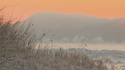 В Татарстане морозы усилятся до -28 градусов