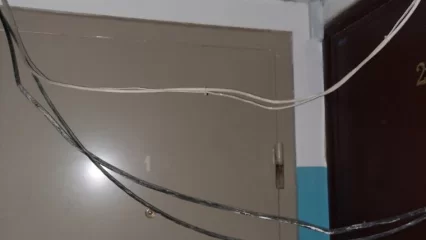 Нижнекамка показала, что стало с подъездом из-за закладчиков - НТР 24