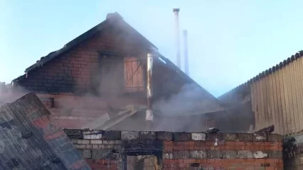 Сельчане с огнеборцами полчаса тушили пожар в Нижнекамском районе