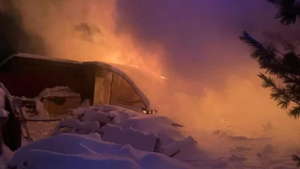 В селе под Нижнекамском сгорели постройки за 2 миллиона