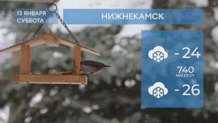 Погода в Нижнекамске на 13-е января 2024 года