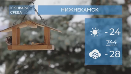 Прогноз погоды в Нижнекамске на 10-е января 2024 года