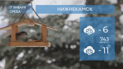 Прогноз погоды в Нижнекамске на 17-е января 2024 года