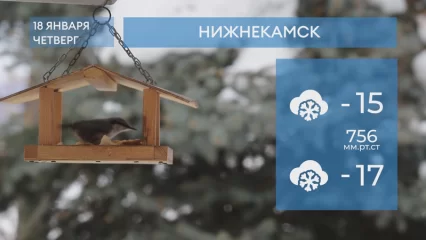 Прогноз погоды в Нижнекамске на 18-е января 2024 года