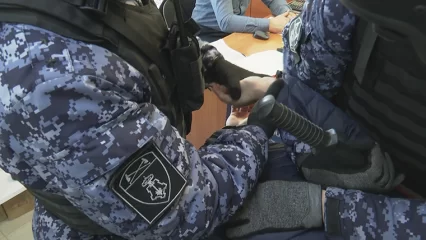 Нижнекамка пыталась вынести из магазина монитор для компьютера за 27 тысяч - НТР 24