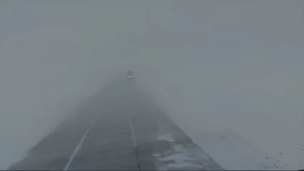 В Татарстане за сутки почти 900 транспортных средств освободили из снежного плена - НТР 24