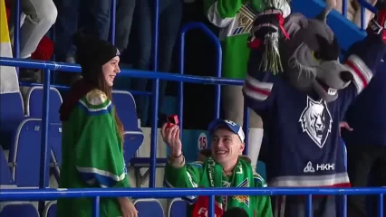 В Нижнекамске на хоккейном матче болельщик сделал предложение своей девушке - НТР 24