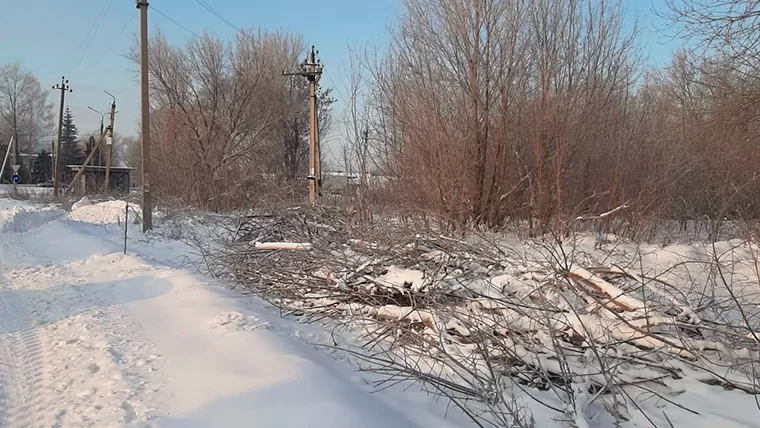 В Нижнекамске обнаружили свалку площадью 144 кв. м