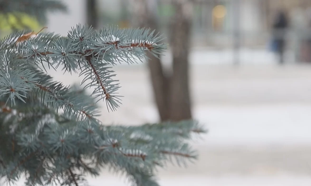 В субботу в Татарстане синоптики прогнозируют мороз до -29
