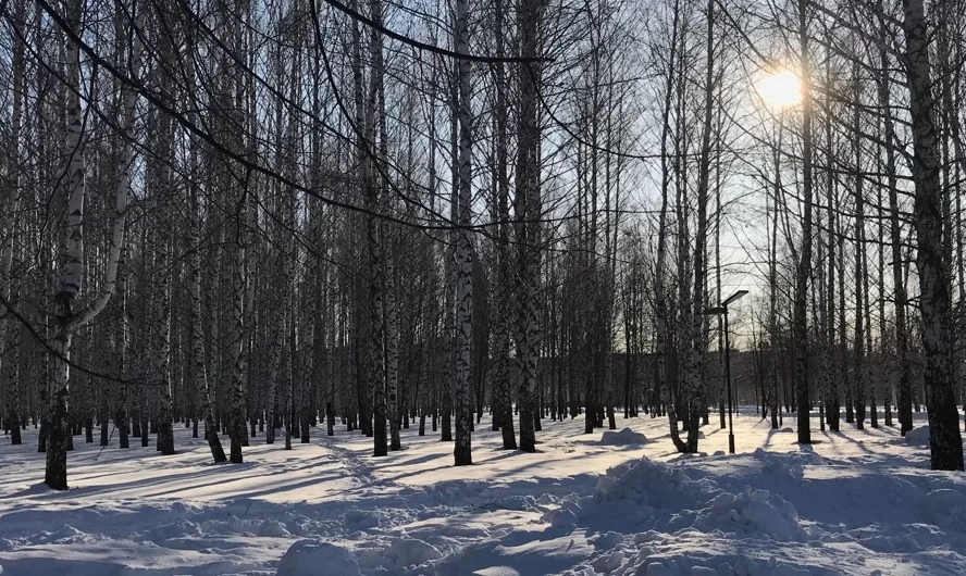 Метеоролог КФУ рассказал, когда в Татарстан придет потепление