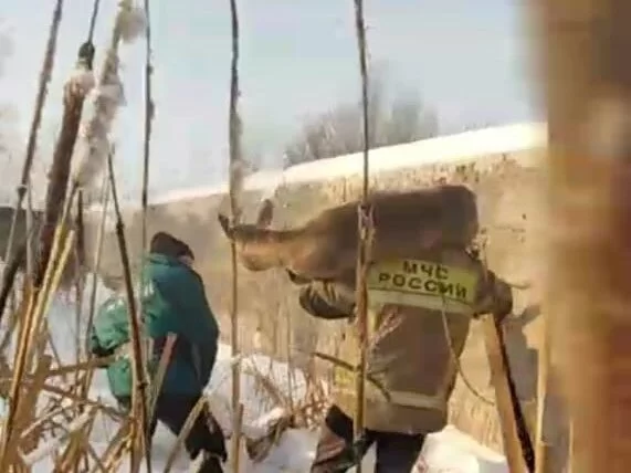В Нижнекамском районе спасли косулю, которая провалилась в бетонную карду
