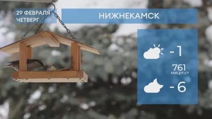 Прогноз погоды в Нижнекамске на 29-е февраля 2024 года