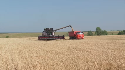 Более 1,2 млрд рублей в Татарстане направили на приобретение сельхозтехники
