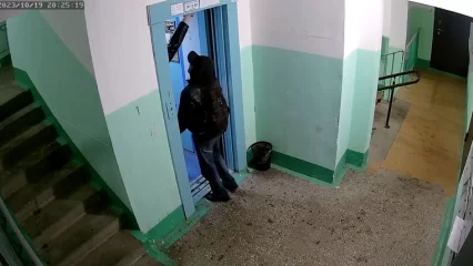 Нижнекамцев призвали сообщать в полицию о закладчиках, которые громят подъезды - НТР 24