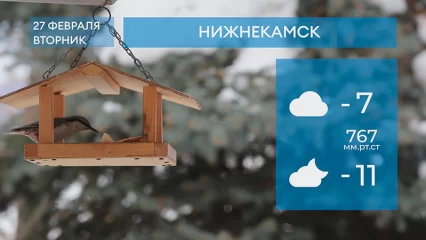 Прогноз погоды в Нижнекамске на 27-е февраля 2024 года