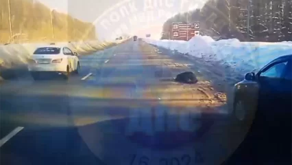 В Казани мужчина перебегал дорогу и попал под колёса «ГАЗели» - видео - НТР 24