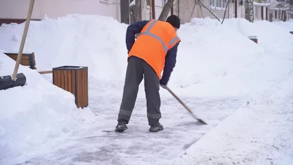 Названы самые востребованные профессии в Татарстане - НТР 24