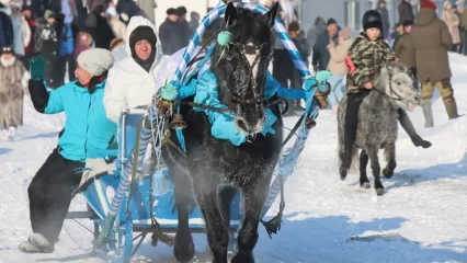 В Муслюмовском районе в третий раз прошел фестиваль «Җиз кыңгырау моңнары» - НТР 24