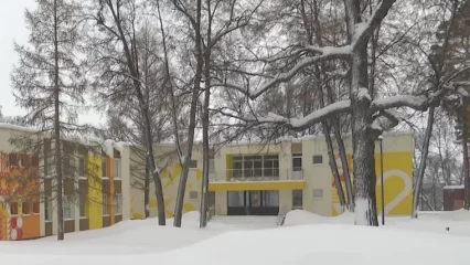 В Нижнекамске к весенне-летнему сезону обновляют «Камский Артек» - НТР 24