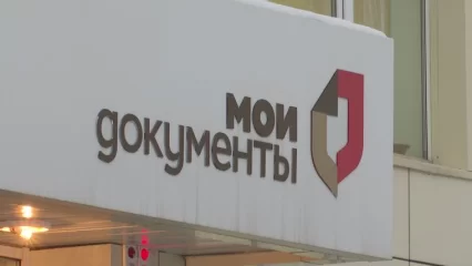 МФЦ Татарстана ввело новый сервис - НТР 24