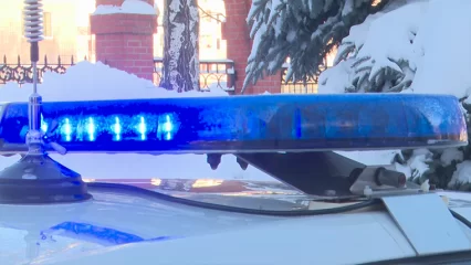 В Нижнекамске злоумышленник напал с ножом на полицейских - НТР 24