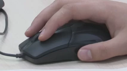 Росреестр РТ запустил специальный сервис для проверки земельных участков - НТР 24