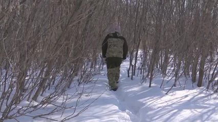 В Нижнекамске объявлен сбор на поиски замерзающего в лесу мужчины