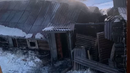 Семья из Нижнекамского района потеряла в пожаре баню и сарай