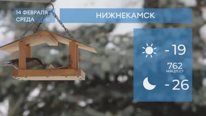 Прогноз погоды в Нижнекамске на 14-е февраля 2024 года