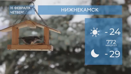 Прогноз погоды в Нижнекамске на 15-е февраля 2024 года