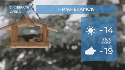 Прогноз погоды в Нижнекамске на 21-е февраля 2024 года