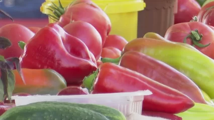 Лунный календарь: благоприятные дни в феврале и марте 2024 года для посева семян - НТР 24