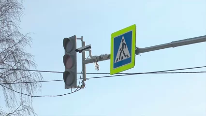 У нижнекамской программы по снижению дорожного травматизма «Амелия» появился сайт - НТР 24