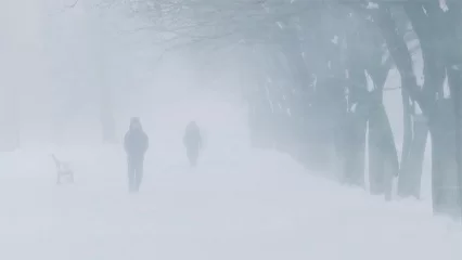 В Татарстане ожидается туман и гололедица