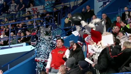 В Нижнекамске на хоккейном матче провели гендер-пати - НТР 24