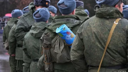 В Соцфонде Татарстана напомнили о пособии на ребенка семьям военнослужащих - НТР 24