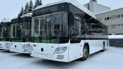 В Нижнекамске запустили на городские маршруты большие низкопольные автобусы