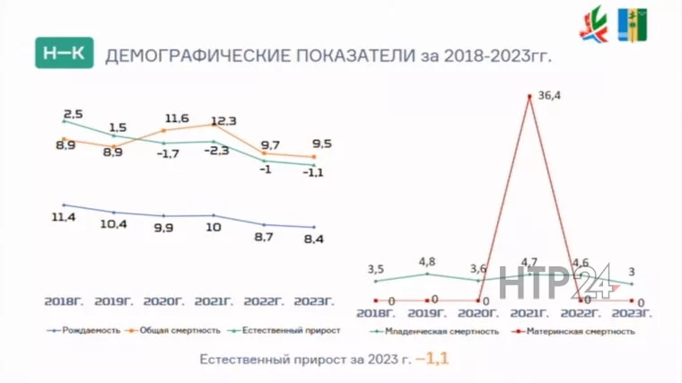Естественный прирост за 2023 год в Нижнекамске – 1.1
