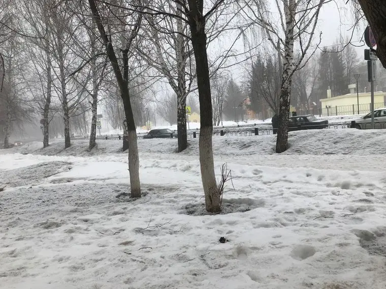 В Татарстане прогнозируются два дня метелей и потепление к выходным
