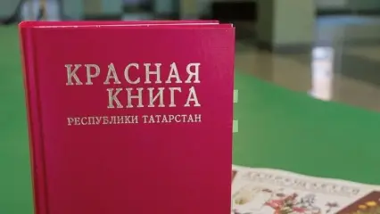 Красную книгу Татарстана переиздадут в 2025 году - НТР 24