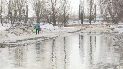 Метеоролог КФУ рассказал, когда в Татарстане полностью растет снег