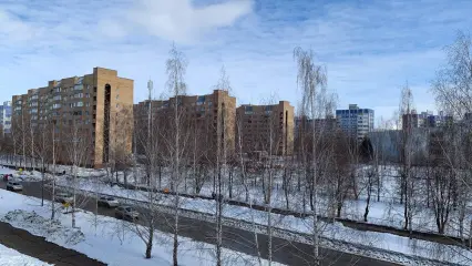 Март 2024 может стать одним из самых сухих в XXI веке - НТР 24