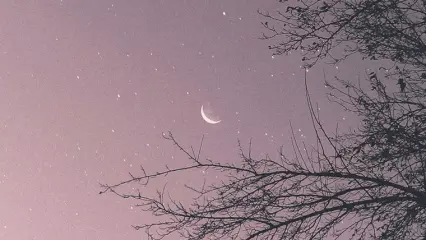 В ночь с 13 на 14 марта жители Татарстана смогут увидеть Юпитер - НТР 24