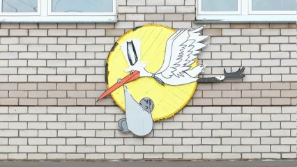 В Татарстане будут снижать младенческую смертность в три этапа - НТР 24